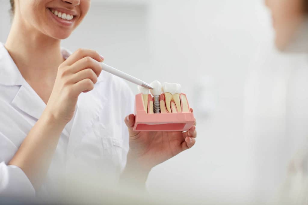 רופאת שיניים מציגה פסל קטן של מפה חלל הפה